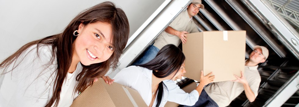Professional Removalists Doubleview